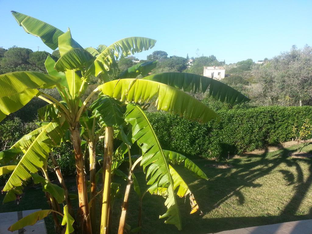 Casa Cereja 'Adults Only' Bed & Breakfast Albufeira Exterior photo