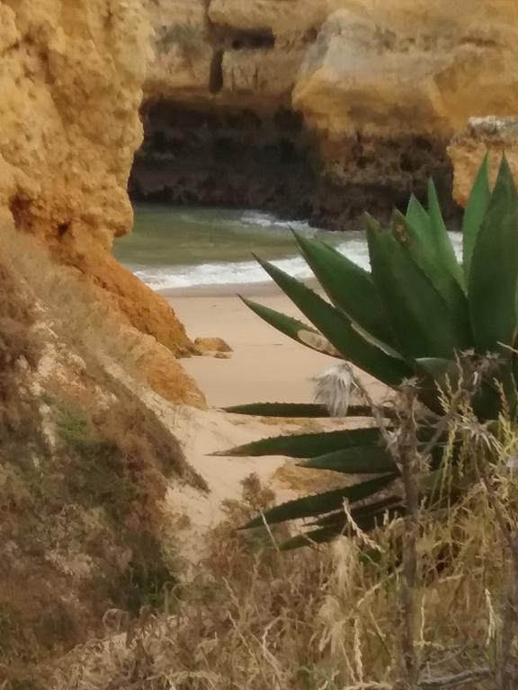 Casa Cereja 'Adults Only' Bed & Breakfast Albufeira Exterior photo