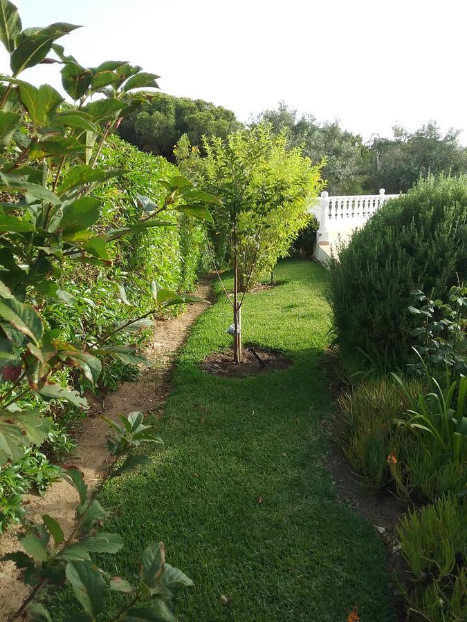 Casa Cereja 'Adults Only' Bed & Breakfast Albufeira Exterior photo