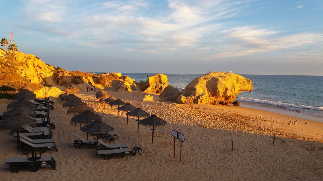 Casa Cereja 'Adults Only' Bed & Breakfast Albufeira Exterior photo
